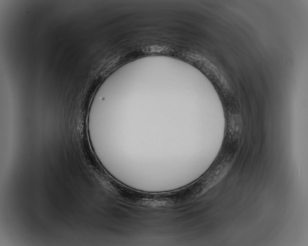 X0000086720545200705111557