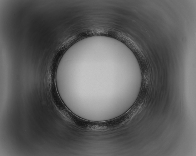 X0000086720546200705111557