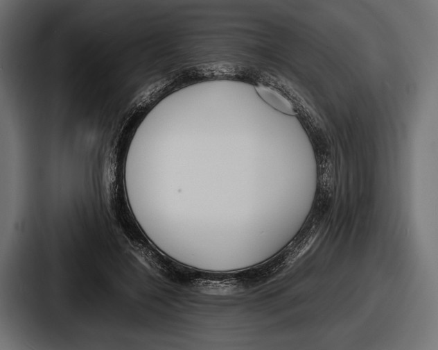 X0000086720548200705111557