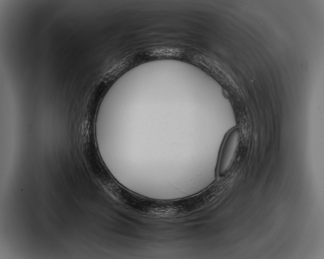 X0000086720551200705111557