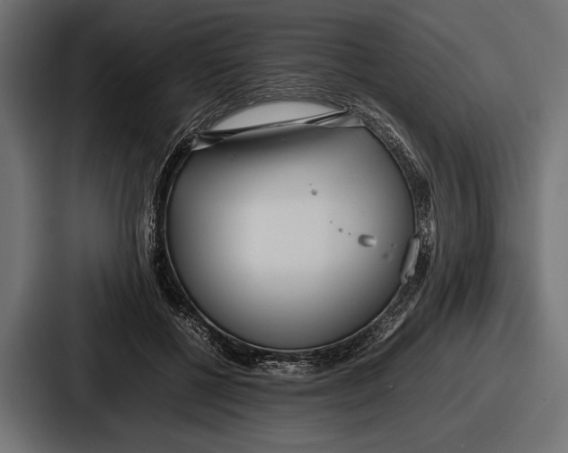 X0000086720552200705111557