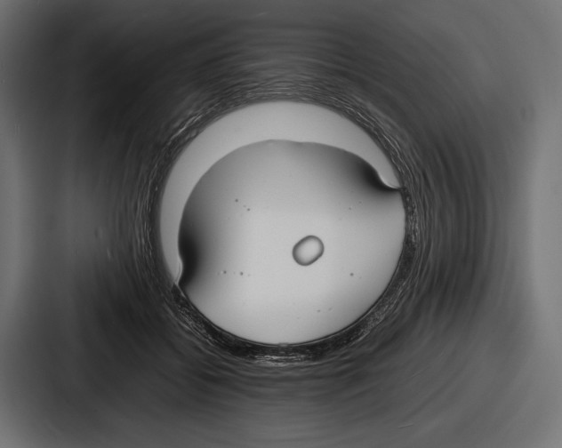 X0000086720556200705111557