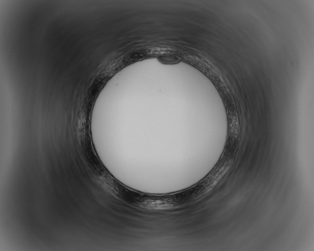 X0000086720557200705111557