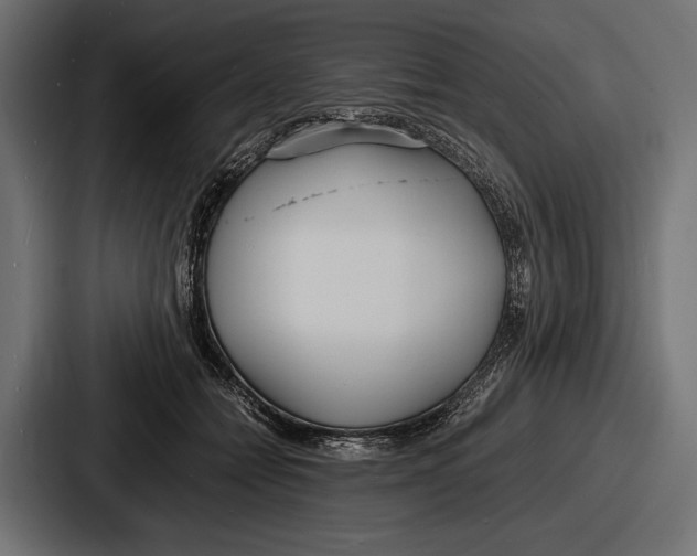 X0000086720558200705111557