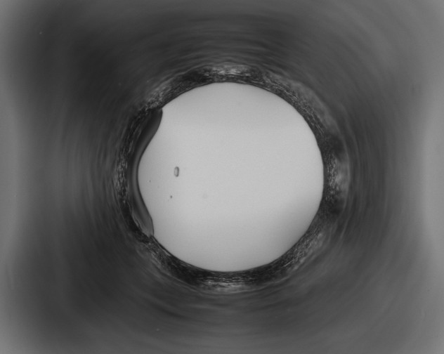 X0000086720559200705111557