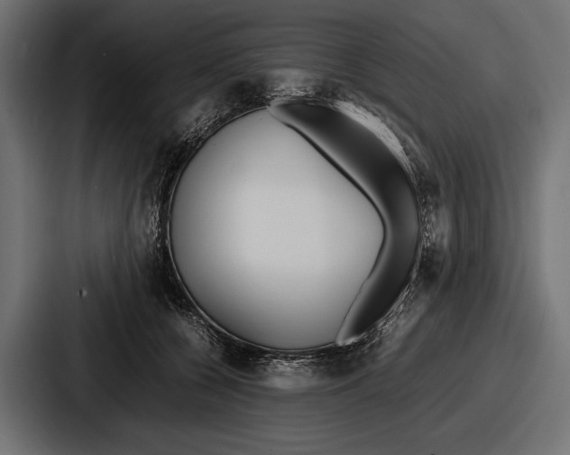 X0000086720560200705111557