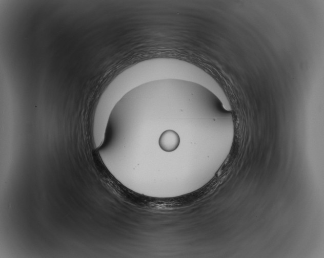 X0000086720564200705111557