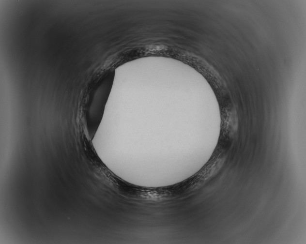 X0000086720565200705111557