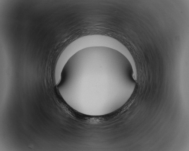 X0000086720566200705111557