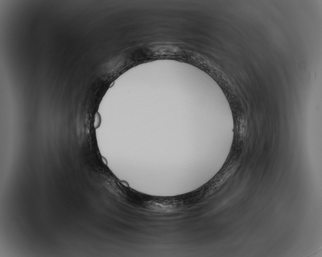 X0000086720567200705111557