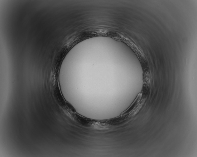 X0000086720568200705111557