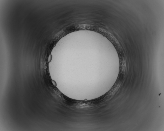 X0000086720569200705111557