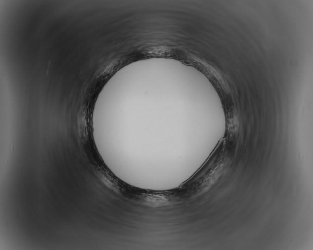 X0000086720572200705111557