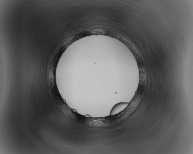 X0000086720573200705111557