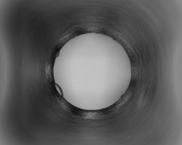 X0000086720575200705111557