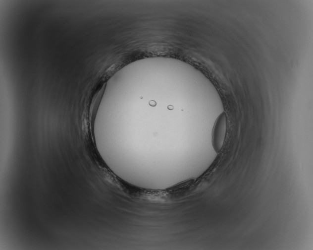 X0000086720576200705111557