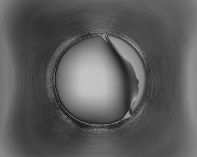 X0000086720577200705111557