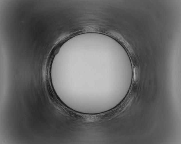 X0000086720579200705111557