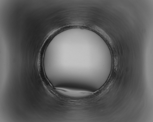 X0000086720580200705111557