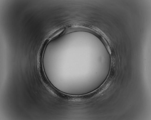 X0000086720581200705111557