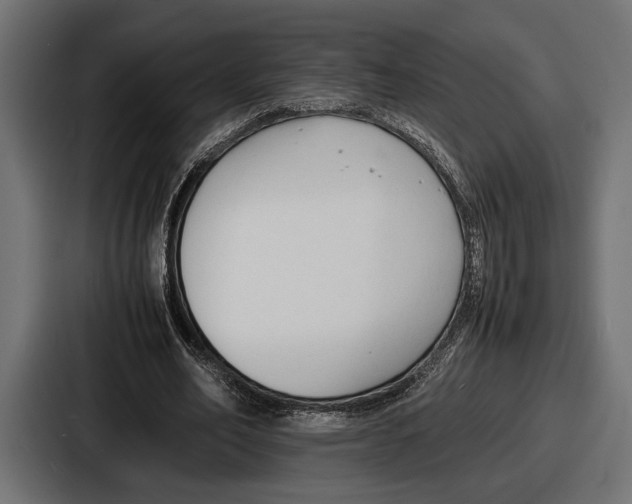 X0000086720582200705111557