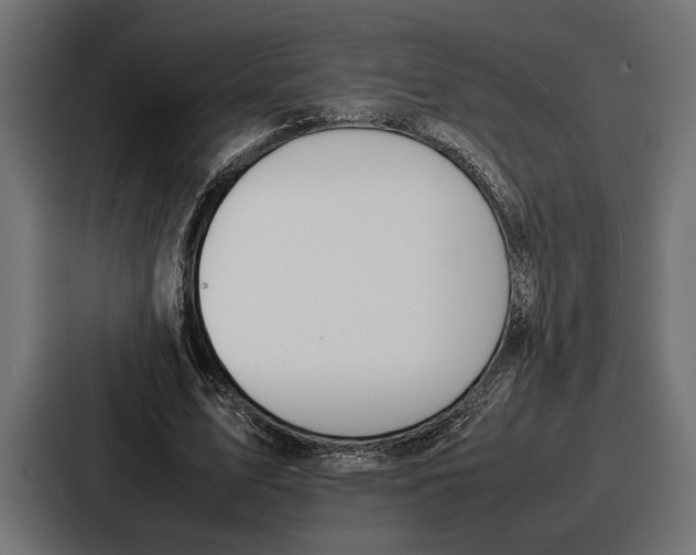 X0000086720583200705111557