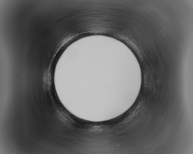 X0000086720584200705111557