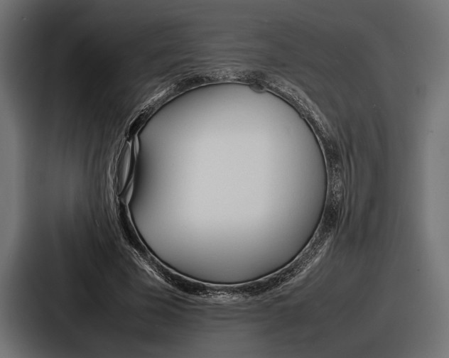 X0000086720585200705111556