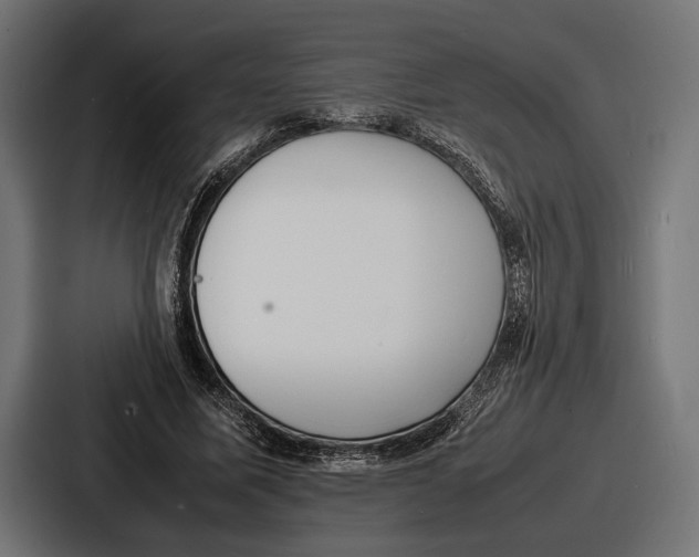 X0000086720587200705111556