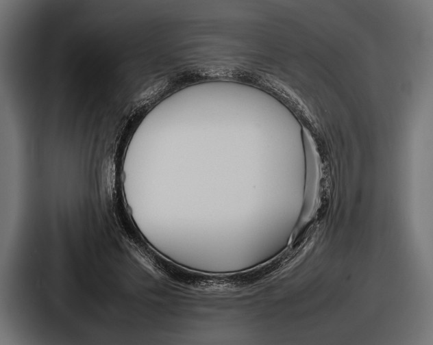 X0000086720589200705111556