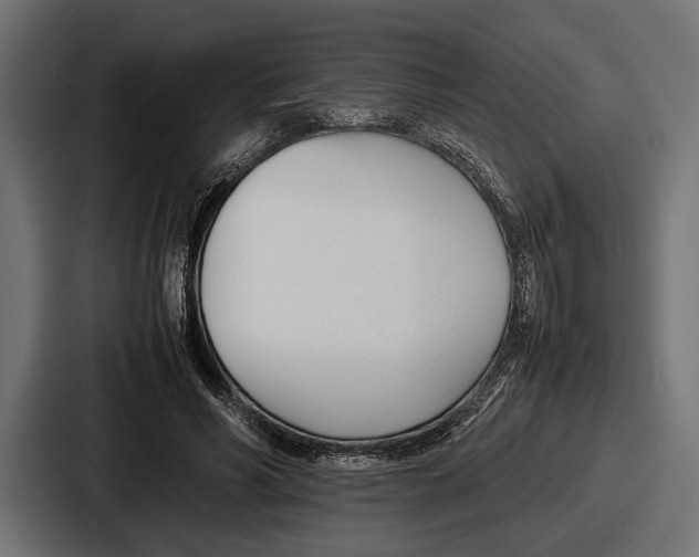 X0000086720590200705111556