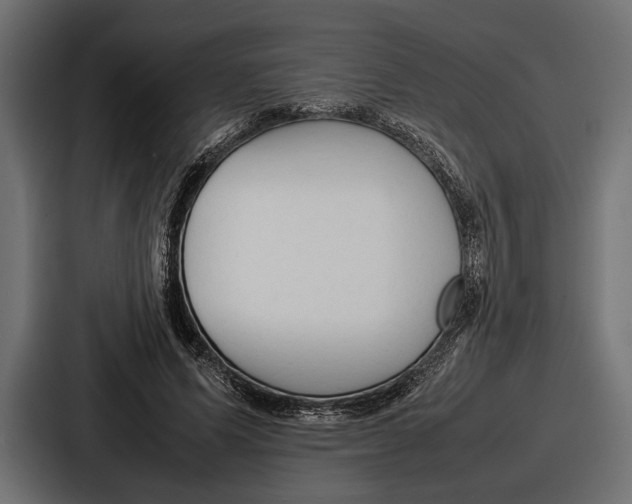 X0000086720591200705111556