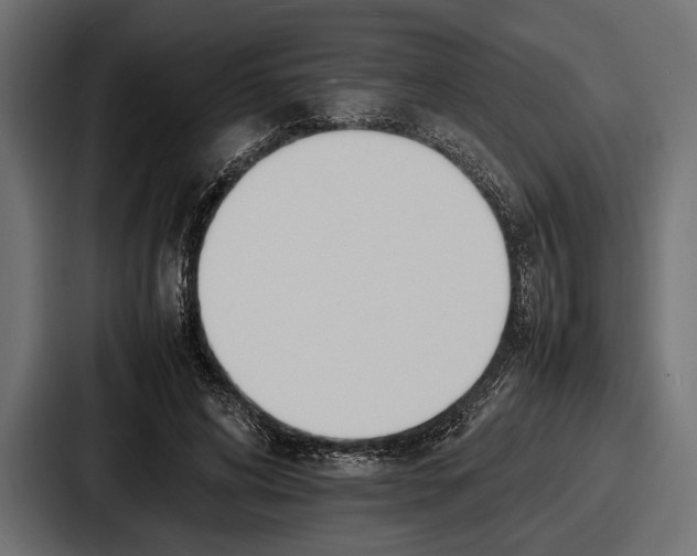 X0000086720592200705111556