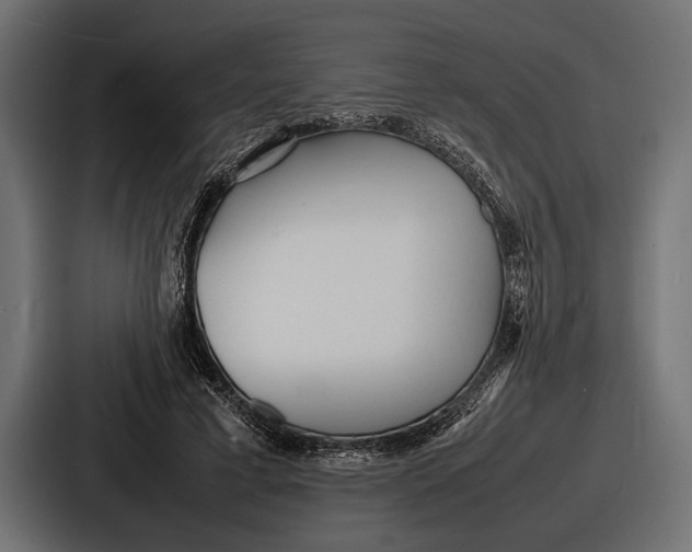 X0000086720593200705111556