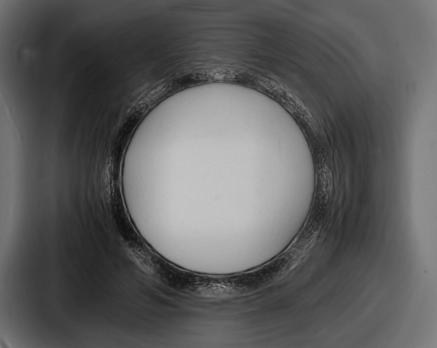 X0000086720594200705111556