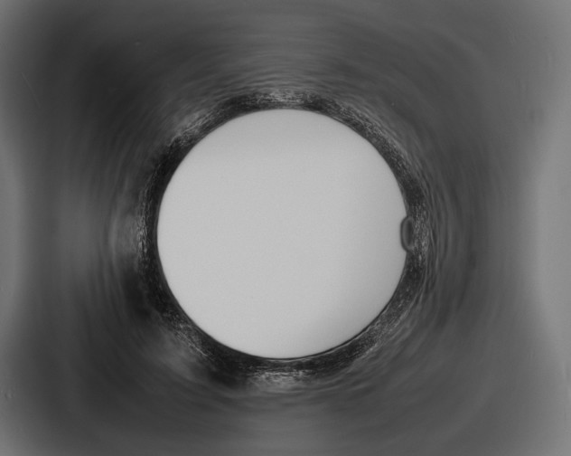 X0000086720595200705111556