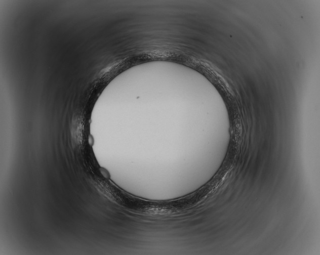 X0000086720596200705111556