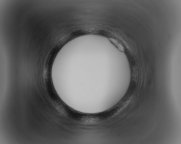 X0000086720597200705111556