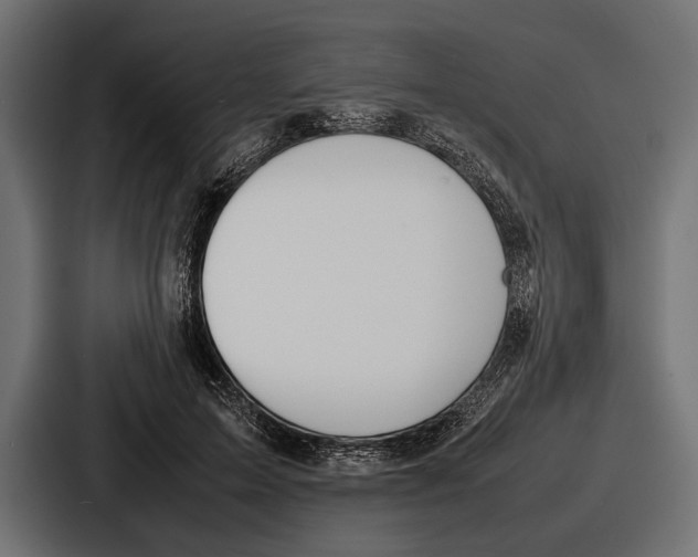 X0000086720599200705111556