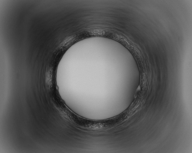 X0000086720600200705111556