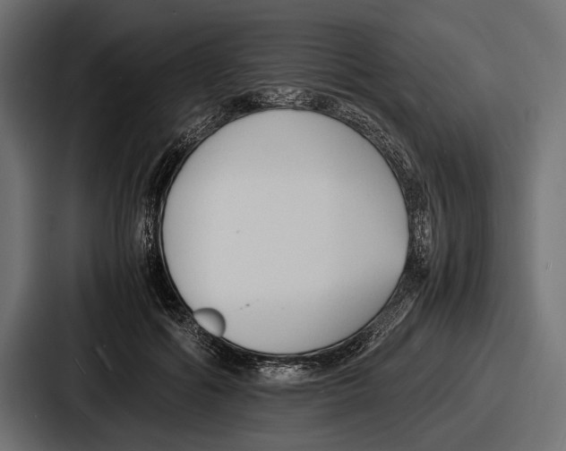 X0000086720602200705111556