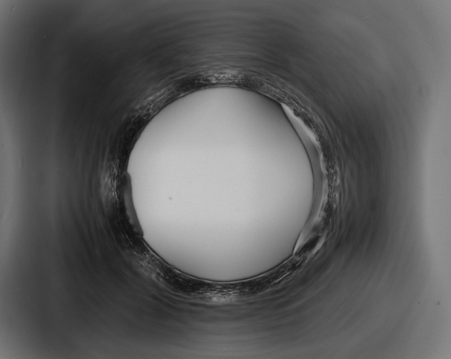 X0000086720604200705111556