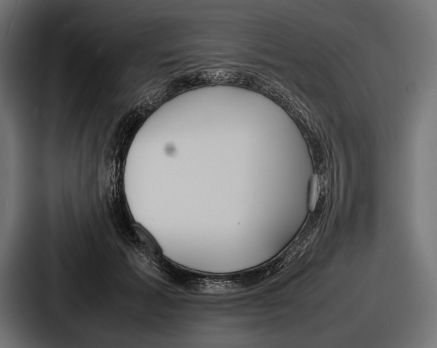 X0000086720605200705111556