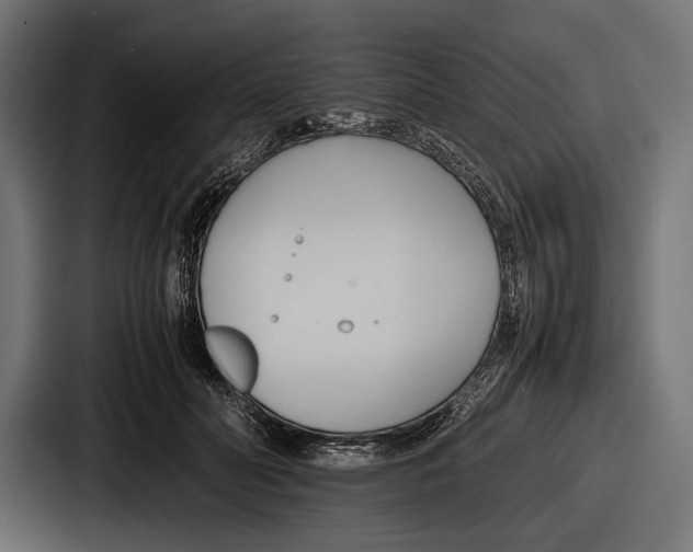 X0000086720606200705111556