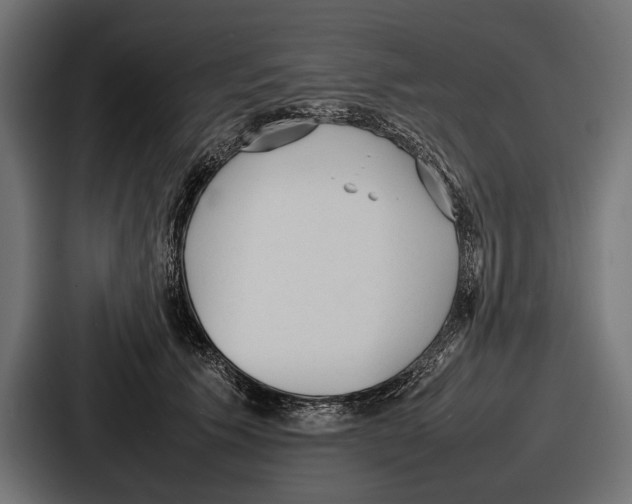 X0000086720609200705111556