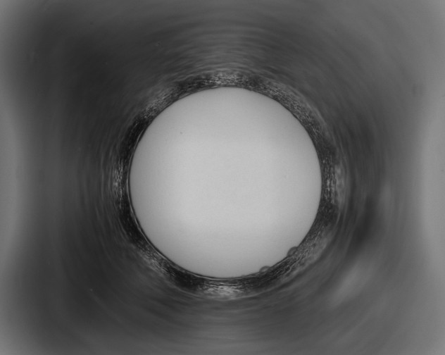 X0000086720610200705111556