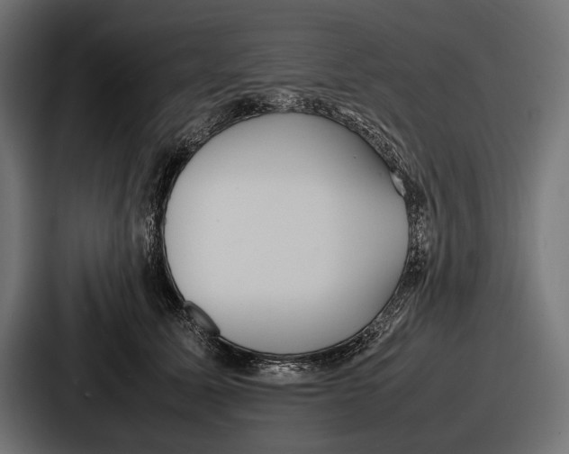 X0000086720611200705111556