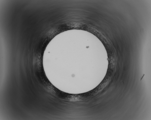 X0000086720612200705111556