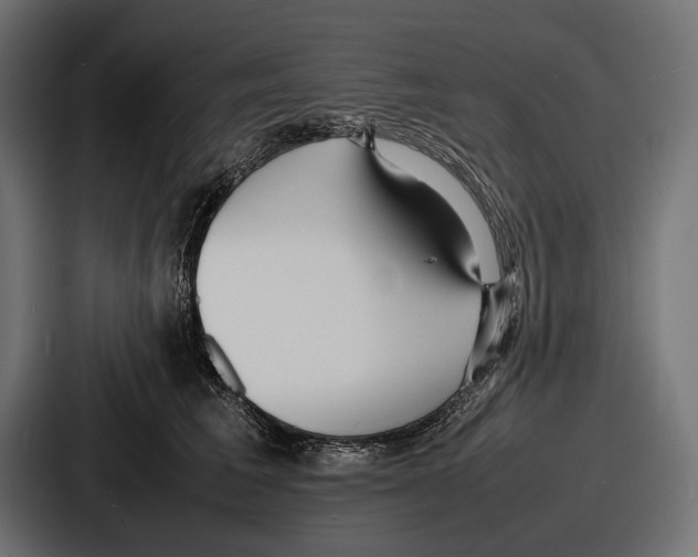 X0000086720613200705111556