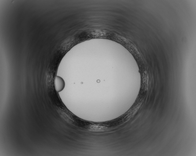 X0000086720614200705111556